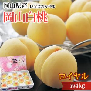 グアバ白 黄 MIX グァバ7個 沖縄産 ビタミンC豊富 全国送料無料