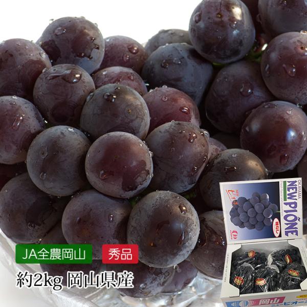 ぶどう 岡山県産 ニューピオーネ 種なし 秀品 約2kg 4〜5房