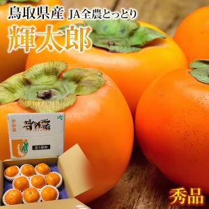 山梨県産 シャインマスカット 秀品 5kg 9〜11房入り 国産 ぶどう