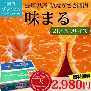 みかん 味まる 大 約4.5kg 2L〜3Lサイズ 約20〜30個 長崎県
