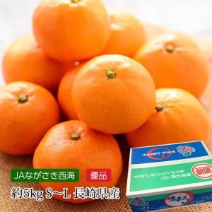 みかん 味まる 長崎県産 優品 約5kg S〜Lサイズ 40〜60個