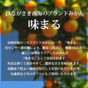 みかん 味まる 長崎県産 優品 約5kg S〜...の詳細画像1