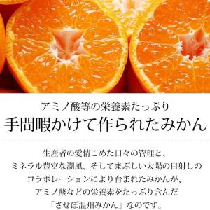 みかん 味まる 長崎県産 優品 約5kg S〜...の詳細画像2