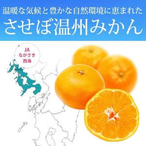 みかん 味まる 長崎県産 優品 約5kg S〜...の詳細画像4