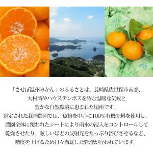 みかん 味まる 長崎県産 優品 約5kg S〜...の詳細画像5
