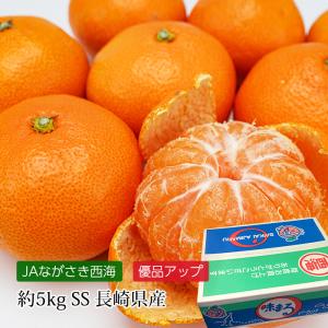 みかん 味まる 長崎県産 優品アップ 約5kg SSサイズ 約80個 小玉 小粒