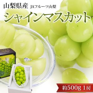 訳あり シャインマスカット 4パック入り ご家庭用 贈答用不可 : 厳選