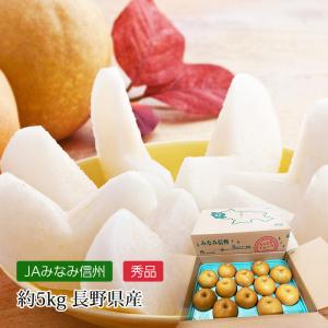 梨 南水 長野県産 秀品 約5kg 10〜16玉