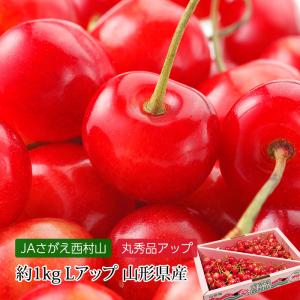 さくらんぼ 山形県産 紅秀峰 丸秀アップ（特秀品・秀品・丸秀） Lサイズアップ 約1kg