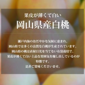 桃 岡山白桃 岡山県産 約1.5kg 5〜6玉 爆買の詳細画像1
