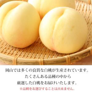 桃 岡山白桃 岡山県産 約1.5kg 5〜6玉 爆買の詳細画像2