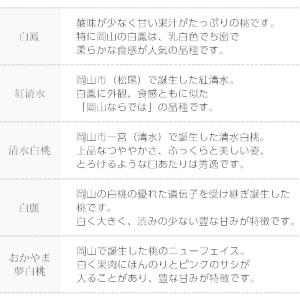 桃 岡山白桃 岡山県産 約1.5kg 5〜6玉 爆買の詳細画像3