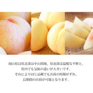 桃 岡山白桃 岡山県産 約1.5kg 5〜6玉 爆買の詳細画像5
