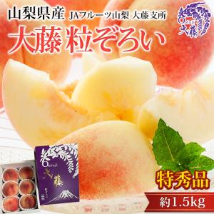 桃 粒ぞろい 山梨県産 特秀品 約1.5kg 5〜7玉