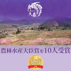 桃 粒ぞろい 山梨県産 特秀品 約1.5kg ...の詳細画像1