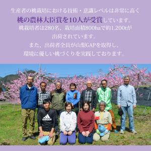 桃 粒ぞろい 山梨県産 特秀品 約1.5kg ...の詳細画像2