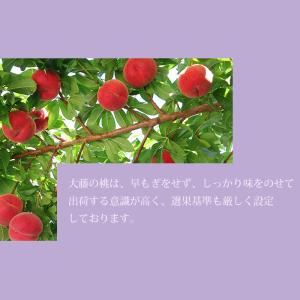 桃 粒ぞろい 山梨県産 特秀品 約1.5kg ...の詳細画像3