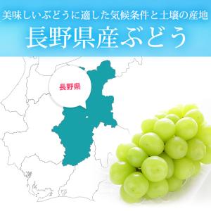 2箱以上ご購入で400円OFF ぶどう シャイ...の詳細画像4
