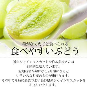 2箱以上ご購入で1,000円OFF ぶどう シ...の詳細画像3