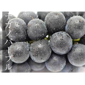 2箱以上ご購入で1,000円OFF ぶどう シ...の詳細画像4