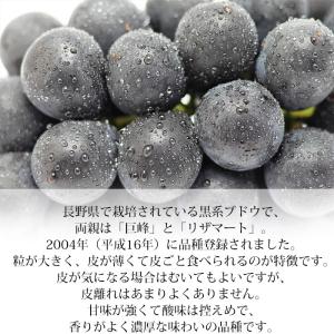 2箱以上ご購入で1,000円OFF ぶどう シ...の詳細画像5