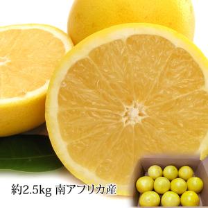 グレープフルーツ 南アフリカ産 ジャクソンフルーツ 約2.5kg 9〜11玉
