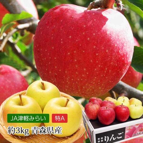 りんご 早生ふじ とき MIX 青森県産 特A 約3kg 9〜12玉