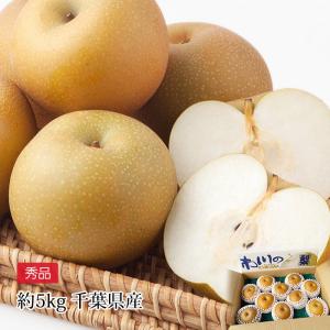 徳島県産 梨 幸水 秀品 20〜28玉入り 10kg（箱） : 生鮮卸売市場