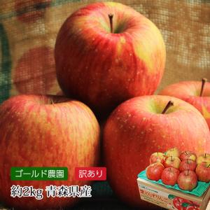 りんご サンふじ 青森産 高糖度 JA津軽みらい 特選 36入り 約10kg