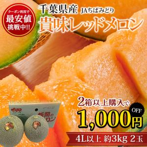 クーポン利用で最安値挑戦中 メロン 貴味レッドメロン 千葉県産 飯岡 約3kg 4Lサイズ以上 2玉 爆買