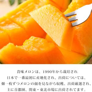クーポン利用で最安値挑戦中 メロン 貴味レッド...の詳細画像2
