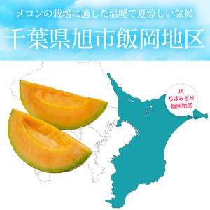 クーポン利用で最安値挑戦中 メロン 貴味レッド...の詳細画像3