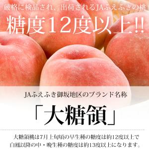桃 大糖領 山梨県産 約2kg 5〜8玉の詳細画像1