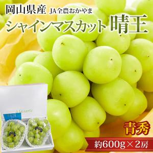 ぶどう シャインマスカット 晴王 岡山県産 青秀 約1.2kg 2房 爆買