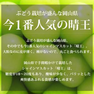 ぶどう シャインマスカット 晴王 岡山県産 青...の詳細画像1