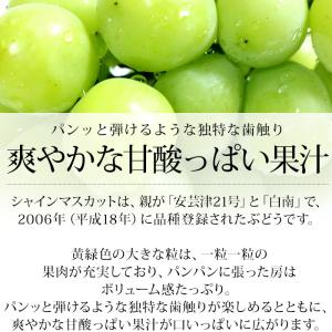 ぶどう シャインマスカット 晴王 岡山県産 青...の詳細画像2
