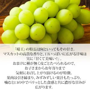 ぶどう シャインマスカット 晴王 岡山県産 青...の詳細画像3