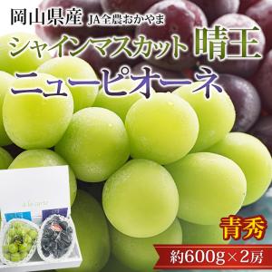 マイハート 希少品種 高級ぶどう 約1.2〜1.5kg 2房 山梨県産 非常に