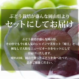 ぶどう シャインマスカット 晴王 ニューピオー...の詳細画像1