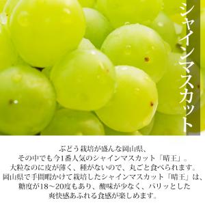 ぶどう シャインマスカット 晴王 ニューピオー...の詳細画像2
