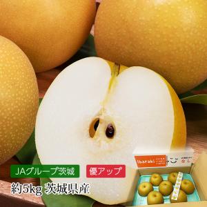 梨 恵水 茨城県産 優アップ 約5kg 8〜12玉