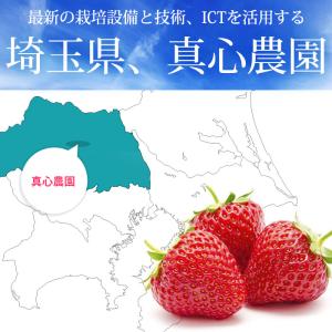 いちご あまりん 埼玉県産 2パック 爆買の詳細画像2