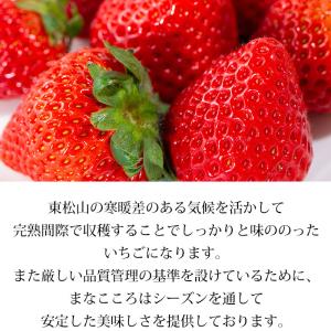 いちご あまりん 埼玉県産 2パック 爆買の詳細画像4