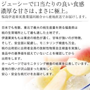 桃 伊達果実もも 福島県産 献上桃の郷 福島県...の詳細画像1