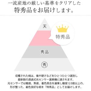桃 伊達果実もも 福島県産 献上桃の郷 福島県...の詳細画像2