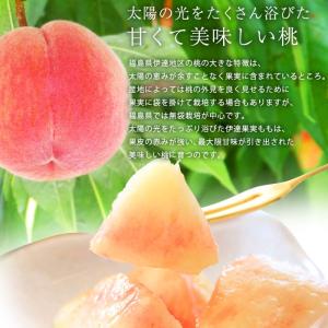 桃 伊達果実もも 福島県産 献上桃の郷 福島県...の詳細画像4