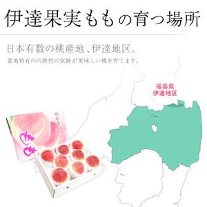 桃 伊達果実もも 福島県産 献上桃の郷 福島県...の詳細画像5