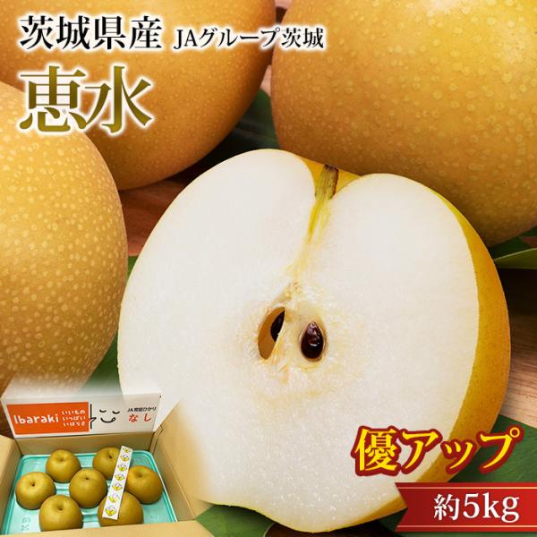梨 恵水 茨城県産 優アップ 約5kg 8〜12玉 爆買
