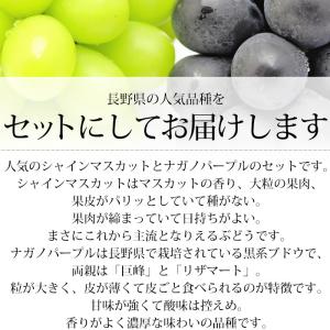 2箱以上ご購入で1,000円OFF ぶどう シ...の詳細画像4