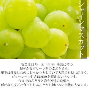 2箱以上ご購入で1,000円OFF ぶどう シ...の詳細画像5